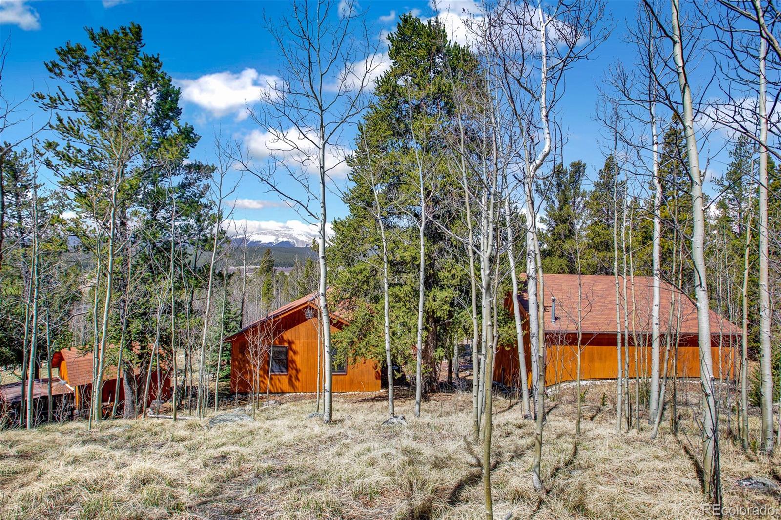 232 Quarry Road Fairplay CO 80440