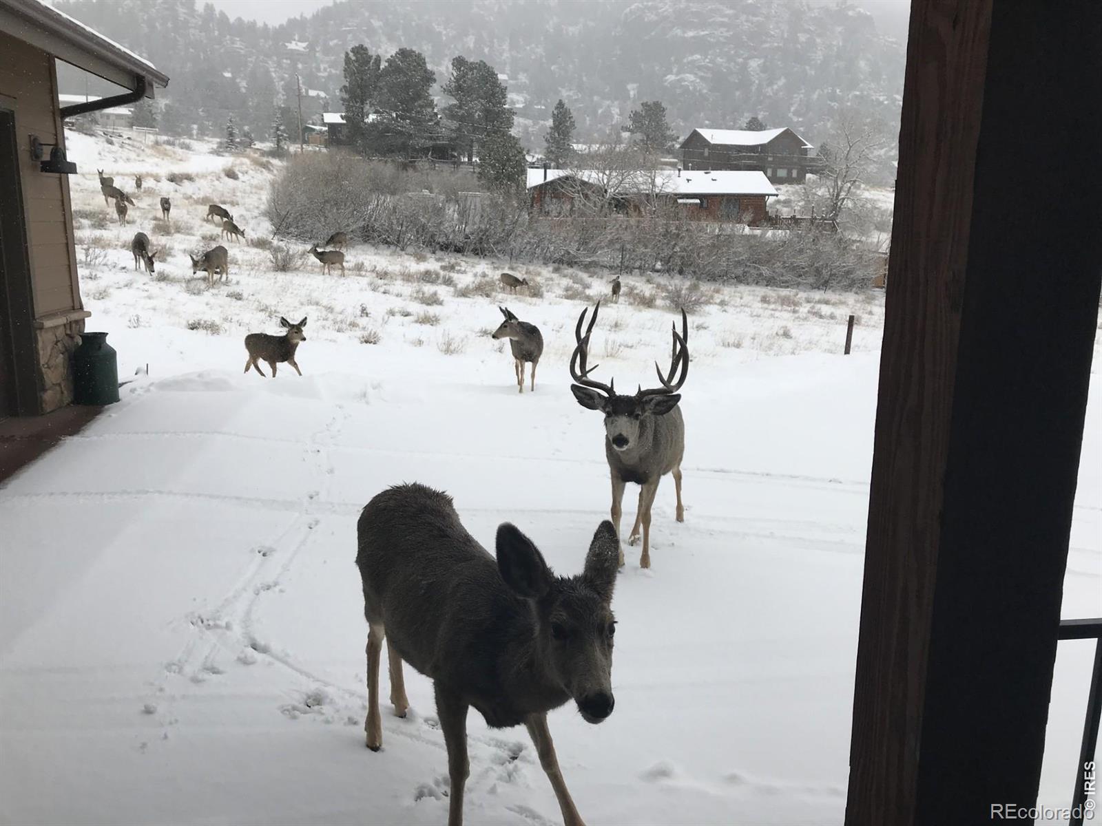285 Indian Trail Estes Park CO 80517