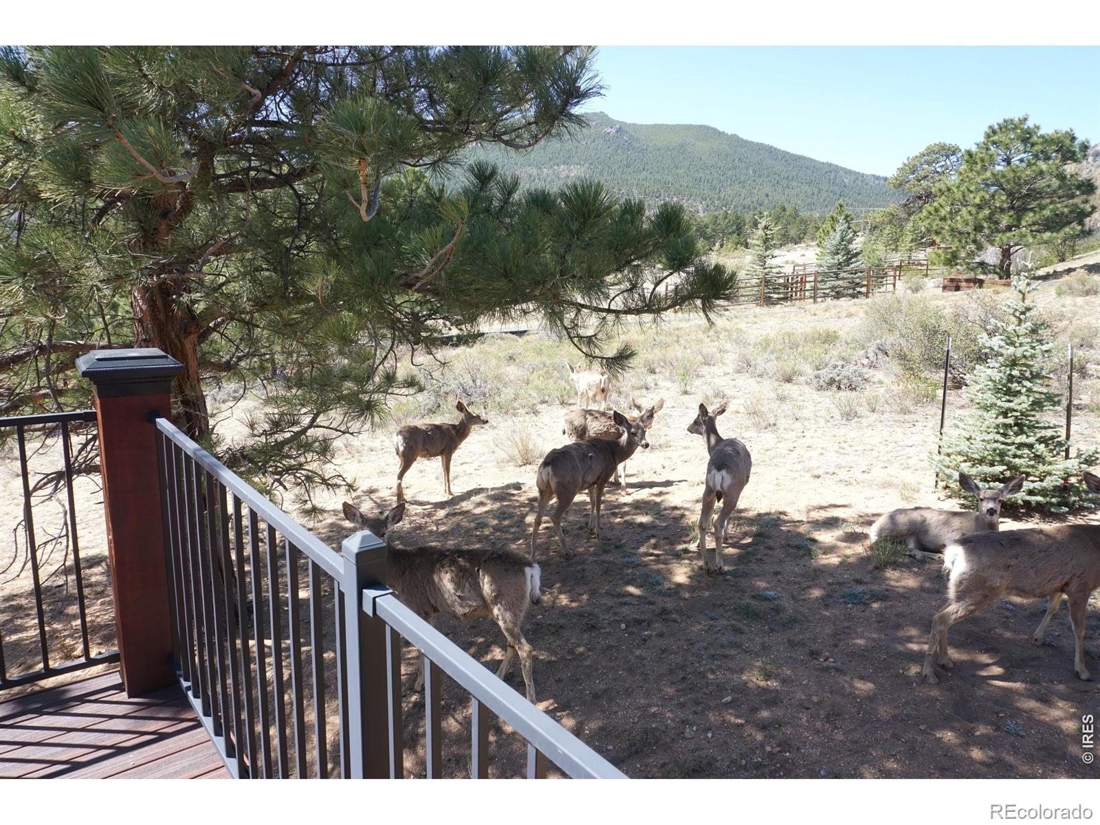285 Indian Trail Estes Park CO 80517