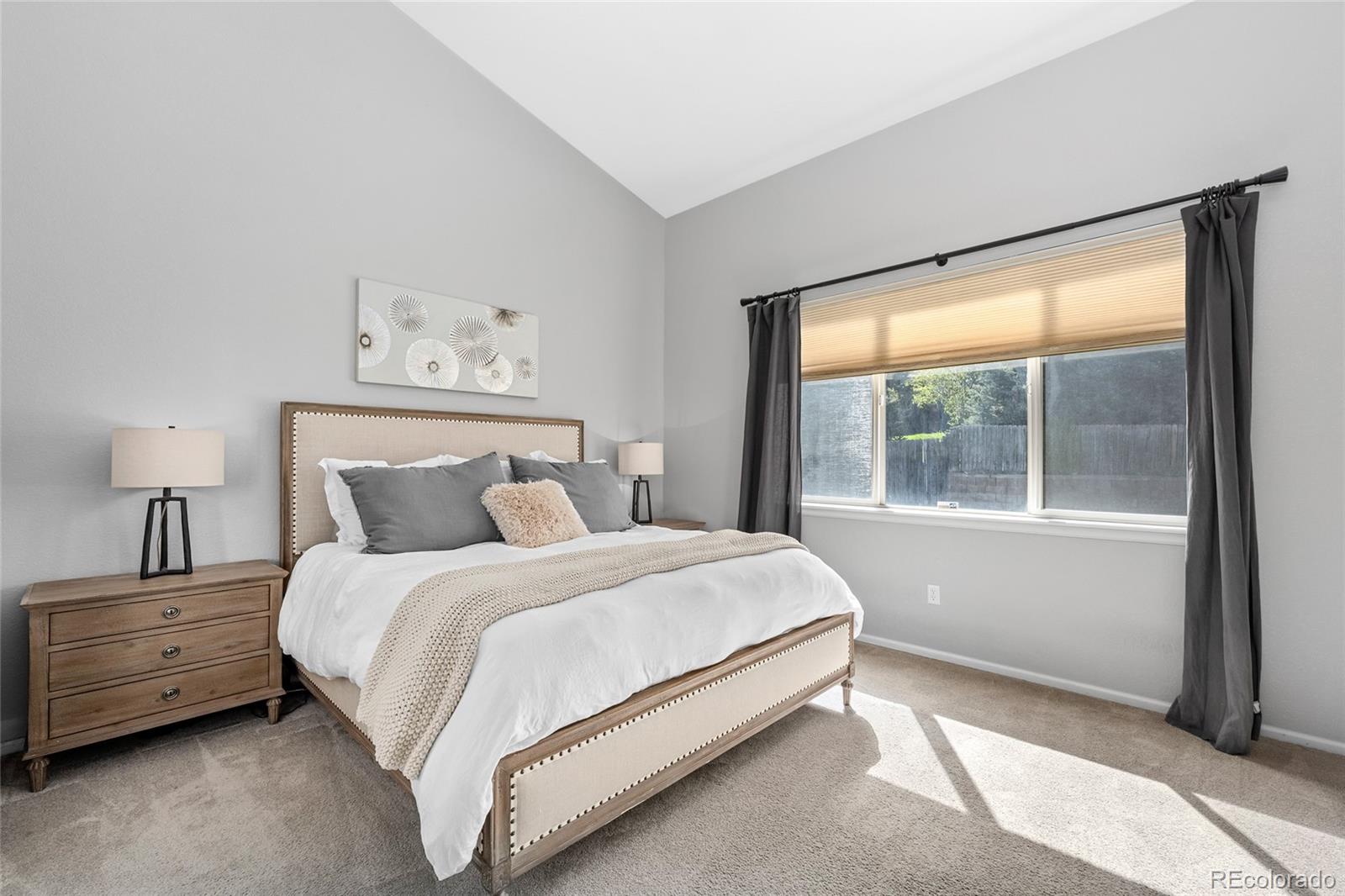 1002 Halfmoon Drive Castle Rock CO 80104