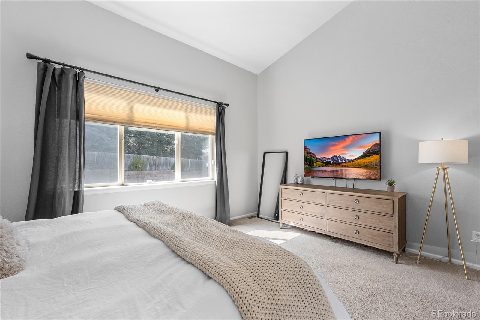 1002 Halfmoon Drive Castle Rock CO 80104