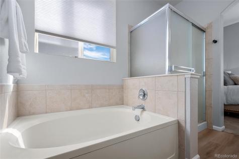 1002 Halfmoon Drive Castle Rock CO 80104
