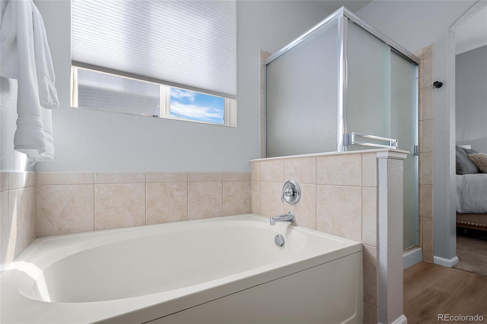 1002 Halfmoon Drive Castle Rock CO 80104