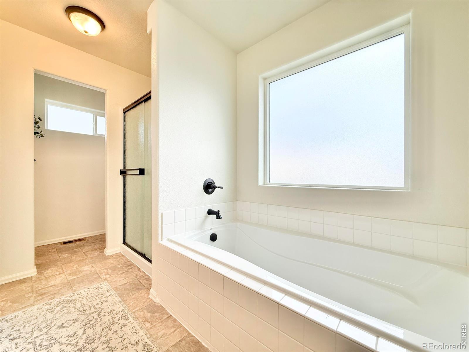 1006 Muntjac Street Severance CO 80550