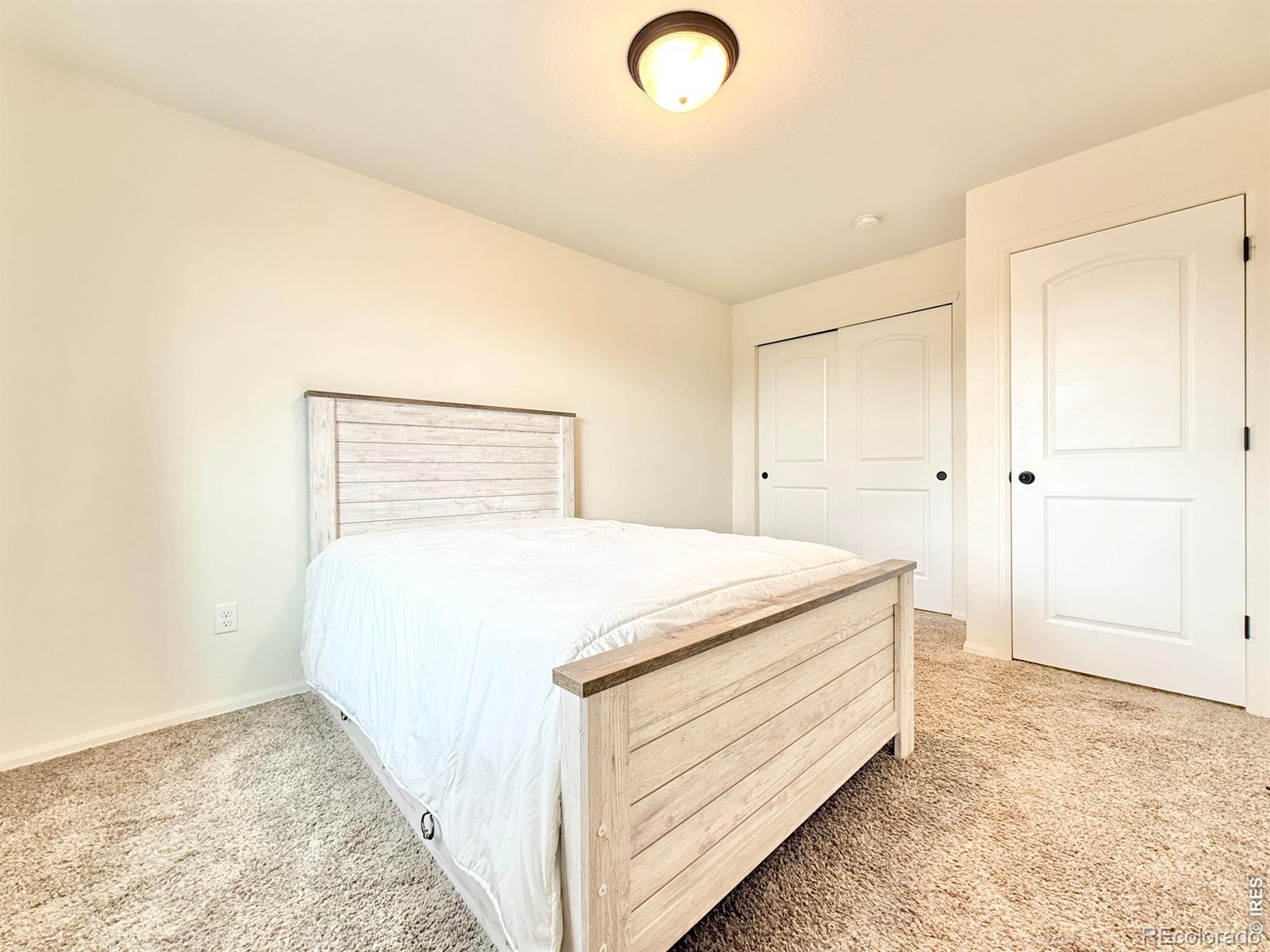 1006 Muntjac Street Severance CO 80550