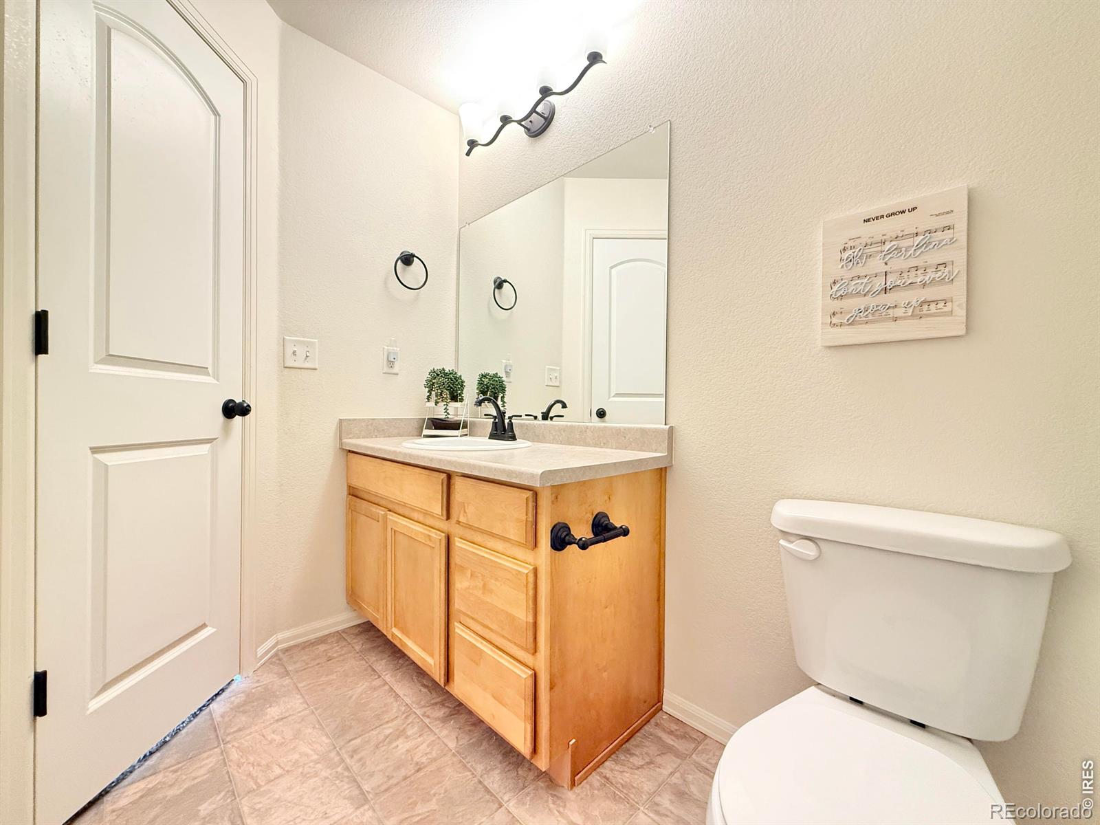 1006 Muntjac Street Severance CO 80550