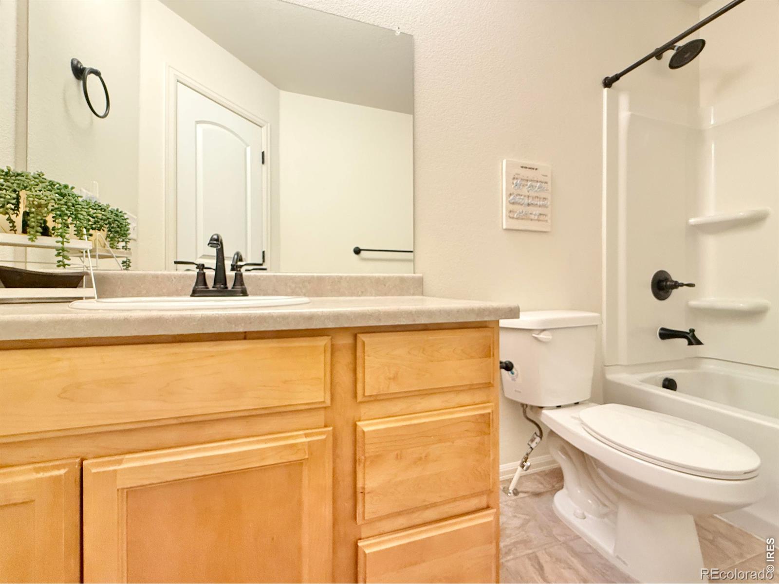 1006 Muntjac Street Severance CO 80550