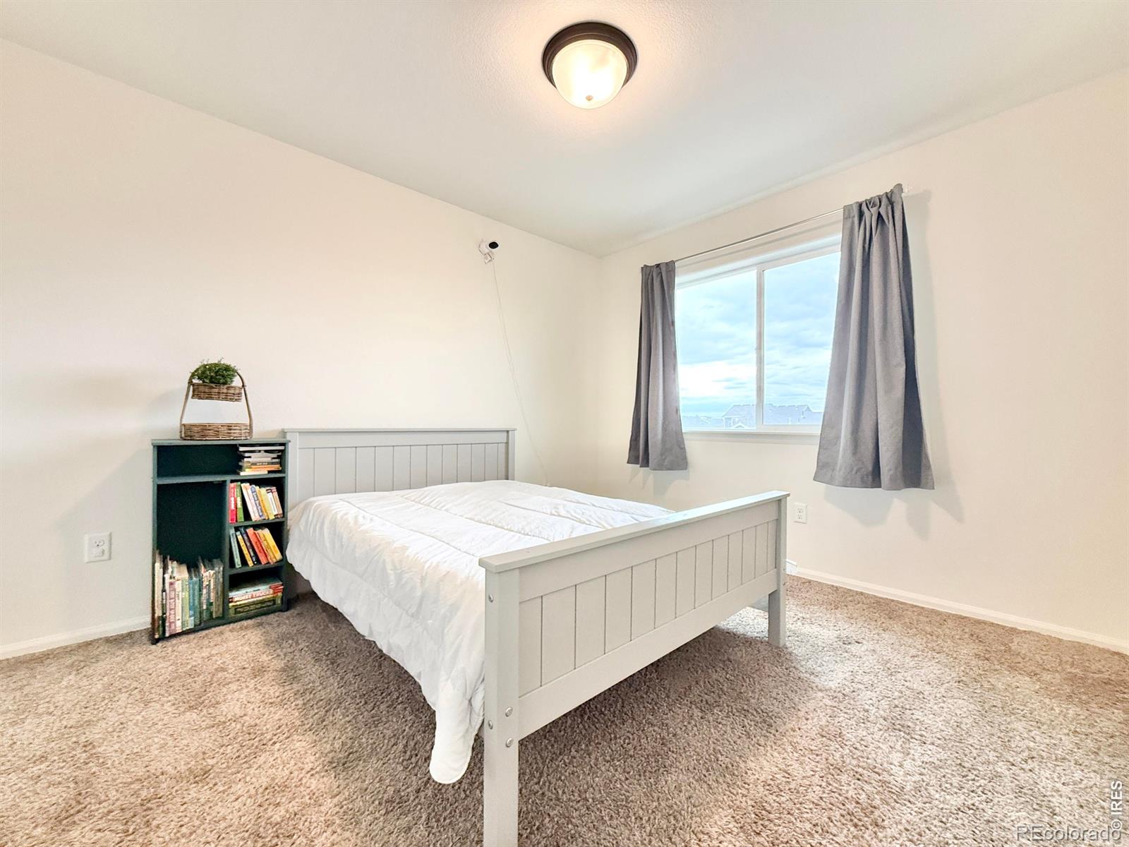 1006 Muntjac Street Severance CO 80550
