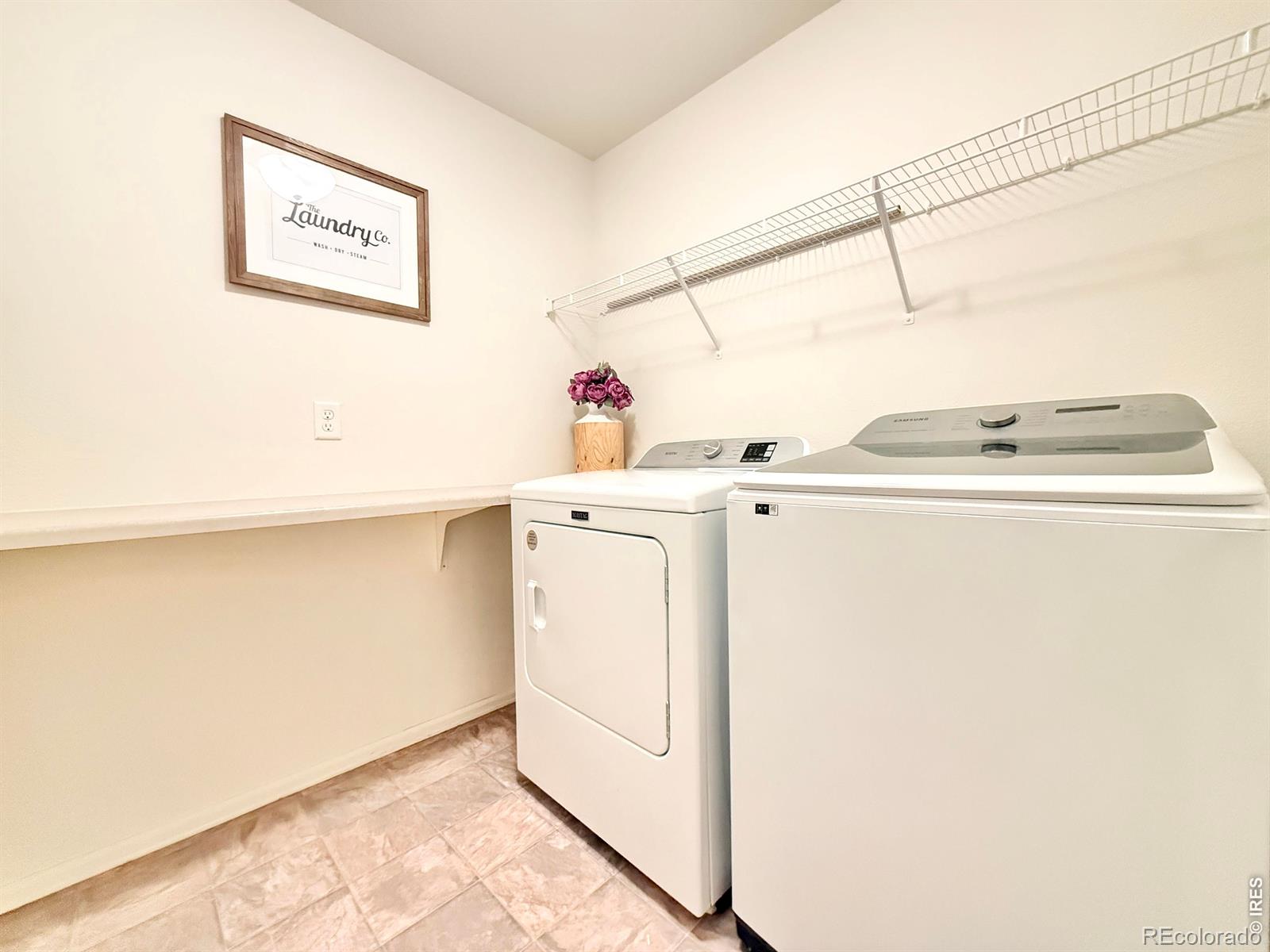 1006 Muntjac Street Severance CO 80550