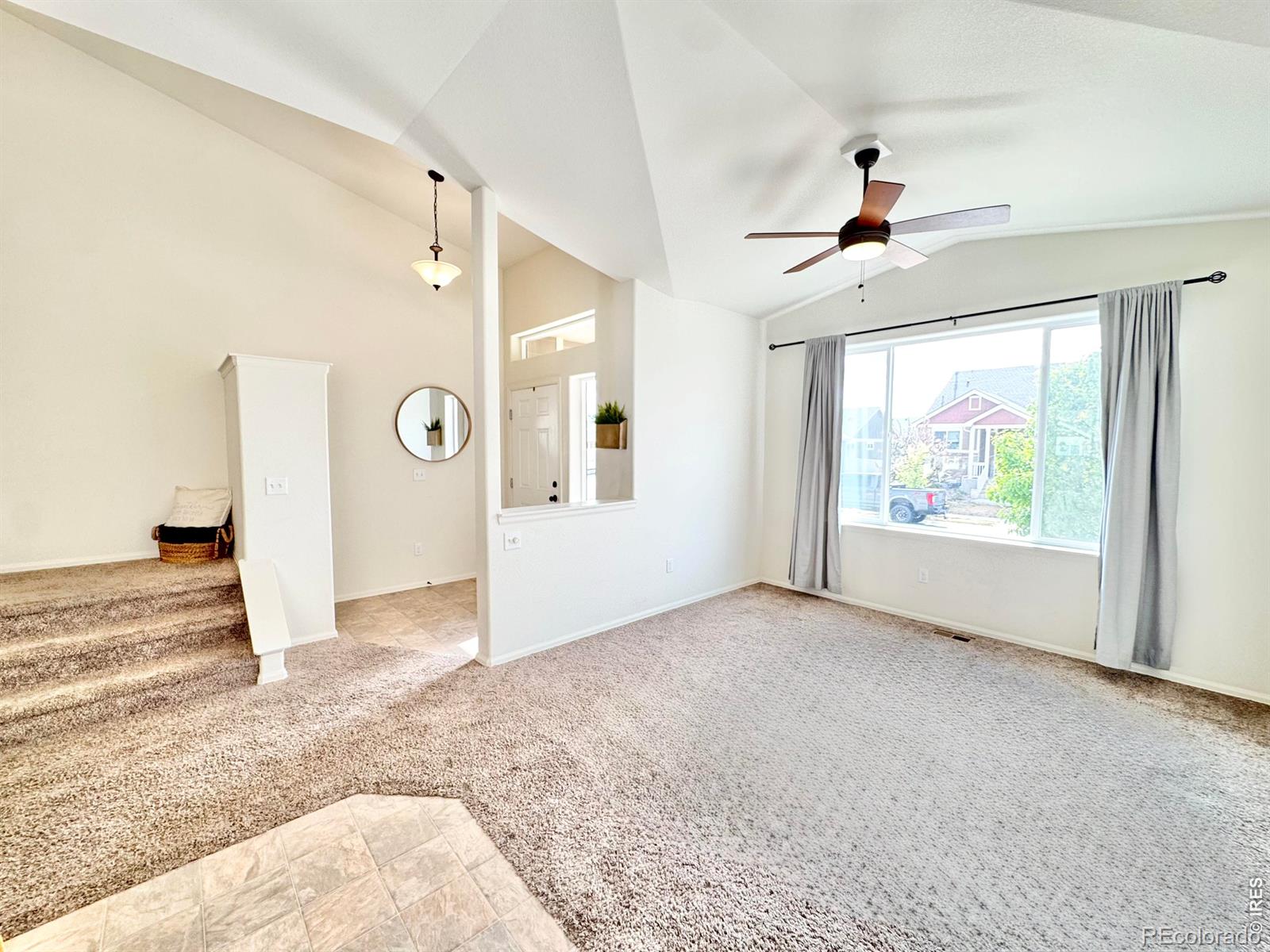 1006 Muntjac Street Severance CO 80550