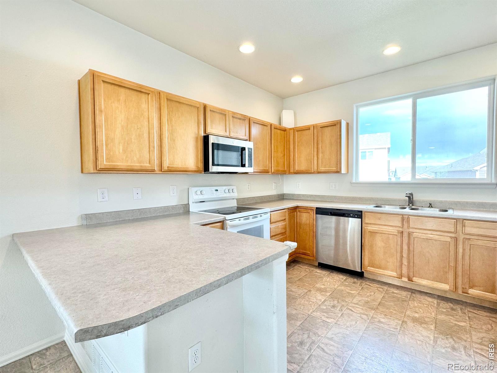 1006 Muntjac Street Severance CO 80550