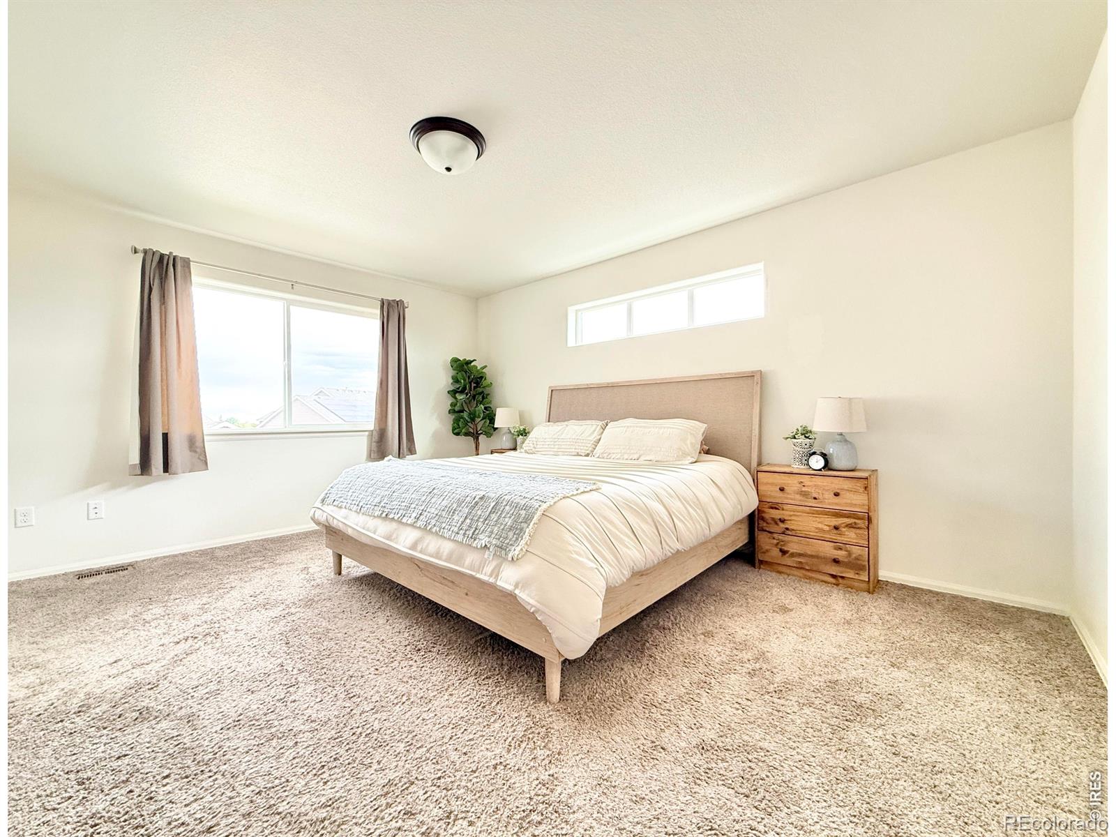 1006 Muntjac Street Severance CO 80550