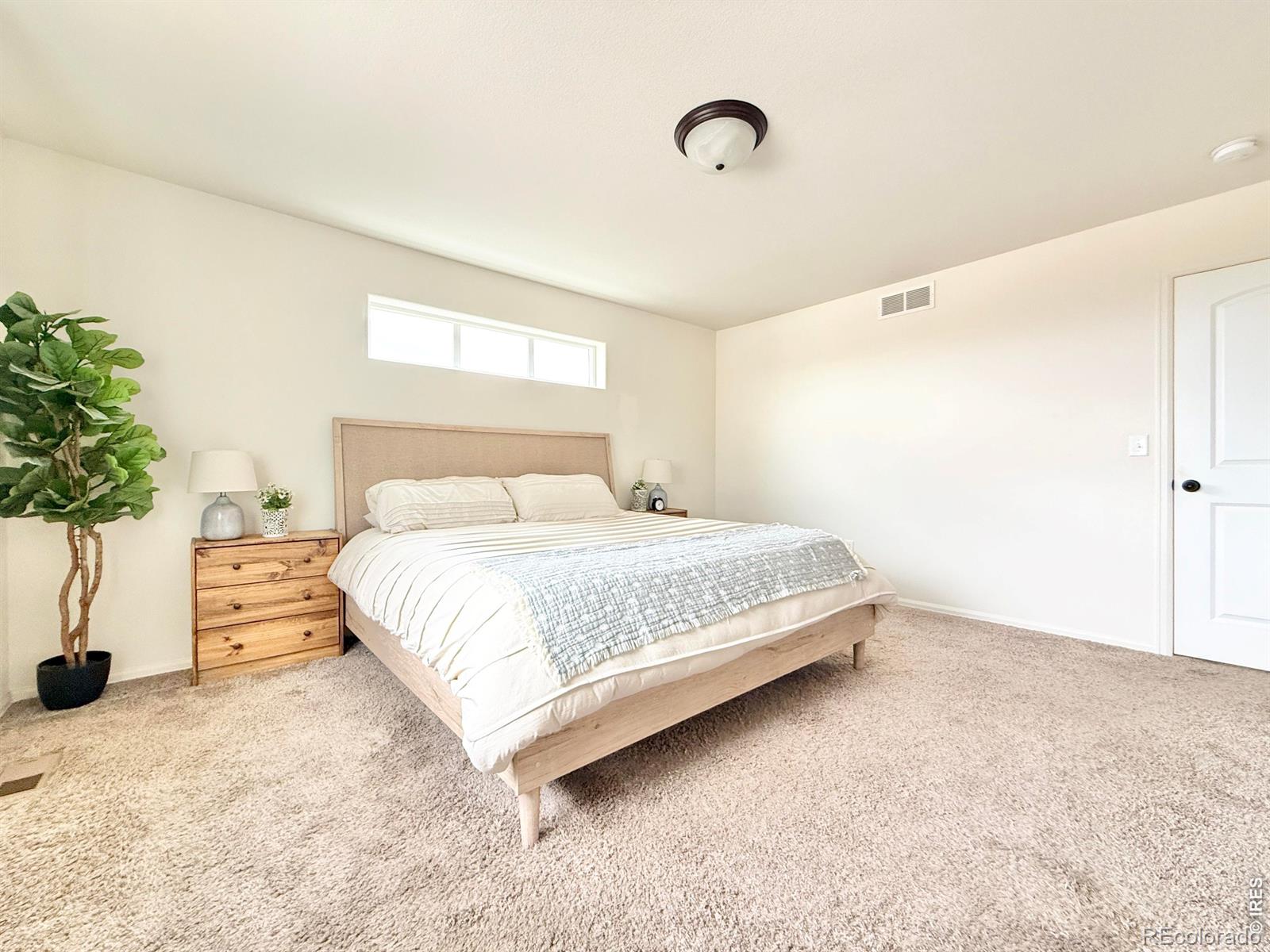 1006 Muntjac Street Severance CO 80550
