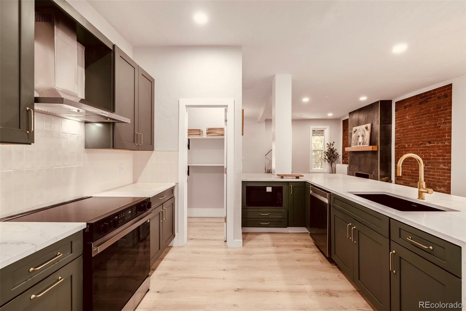 1111 N Corona Street Denver CO 80218