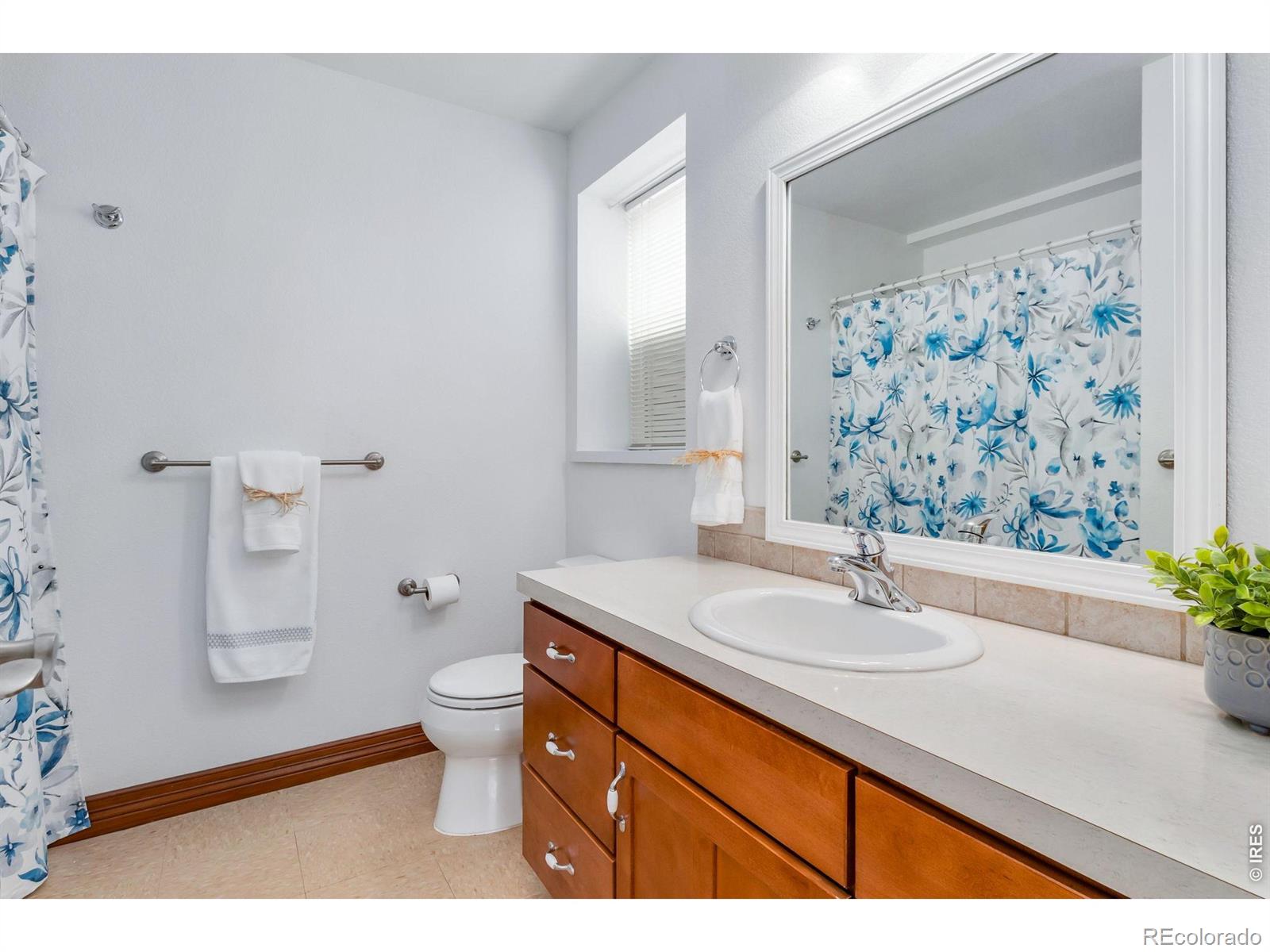 2751 Canby Way Fort Collins CO 80525