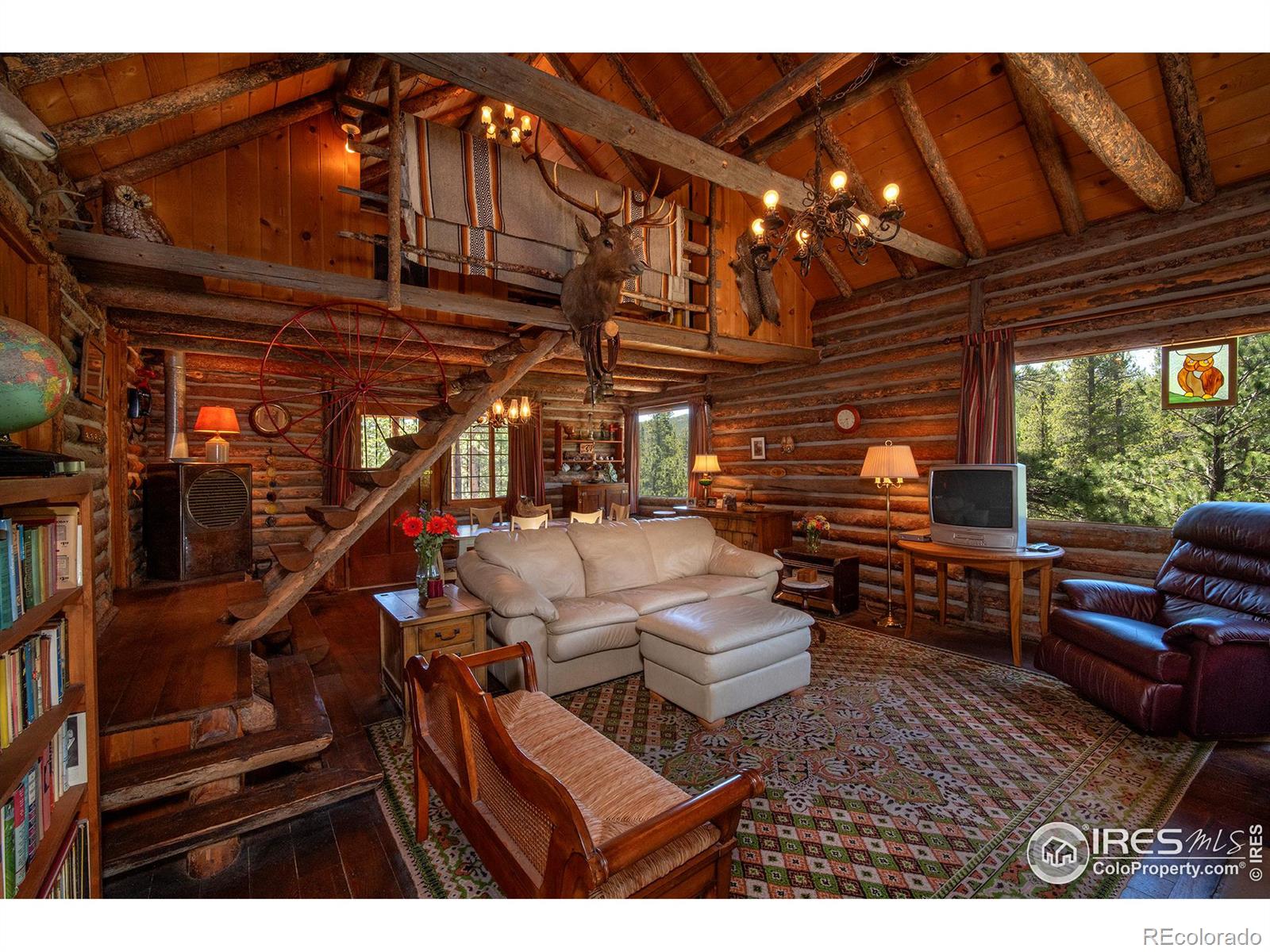 1217 Big Owl Road Allenspark CO 80510