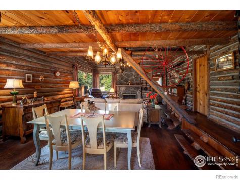 1217 Big Owl Road Allenspark CO 80510
