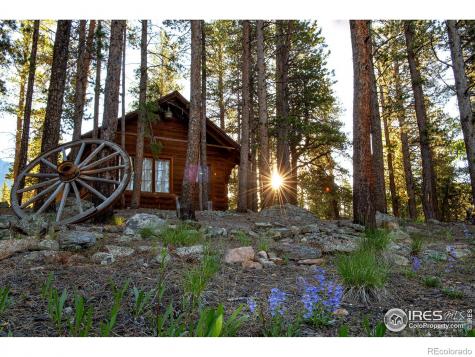 1217 Big Owl Road Allenspark CO 80510