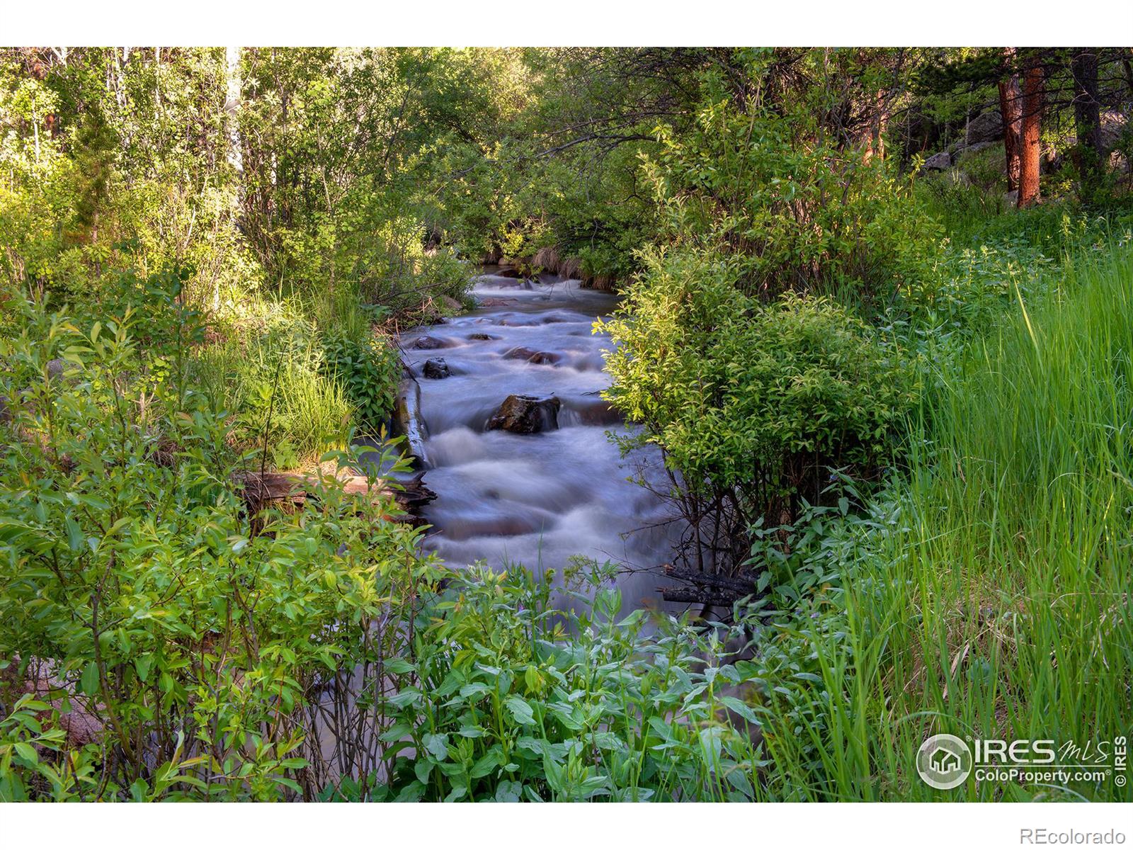 1217 Big Owl Road Allenspark CO 80510