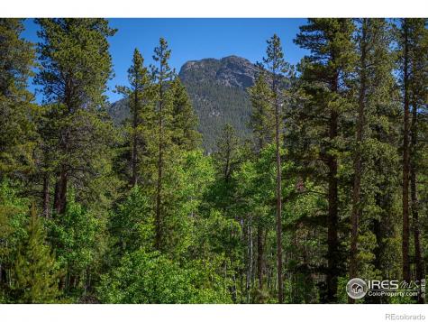 1217 Big Owl Road Allenspark CO 80510