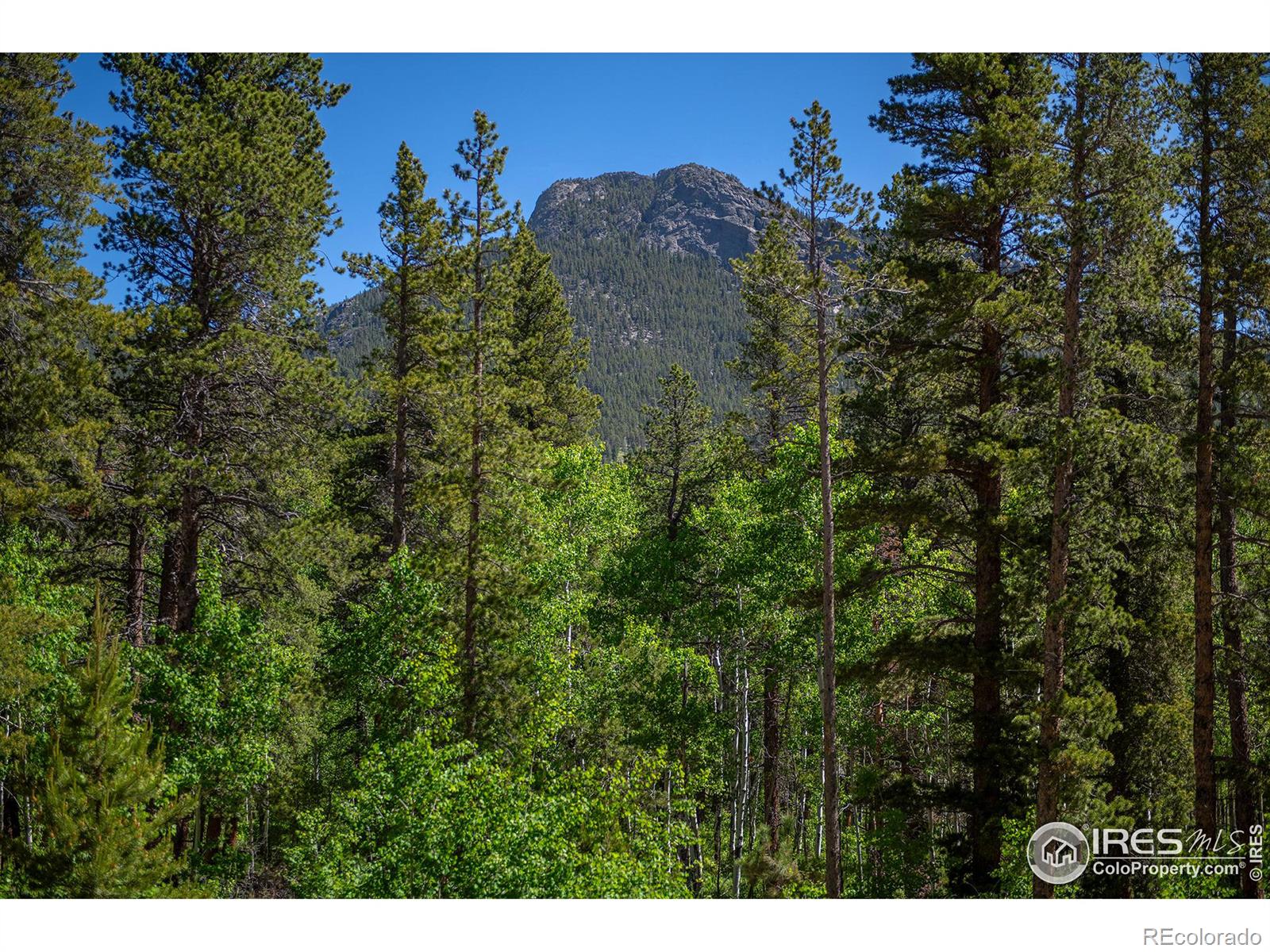 1217 Big Owl Road Allenspark CO 80510