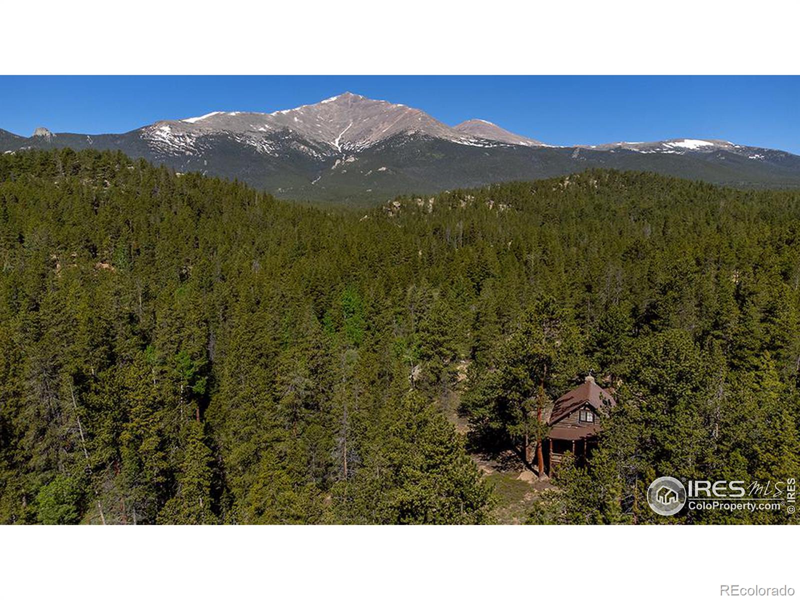 1217 Big Owl Road Allenspark CO 80510