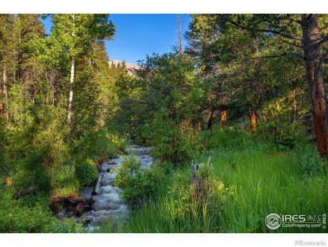 1217 Big Owl Road Allenspark CO 80510