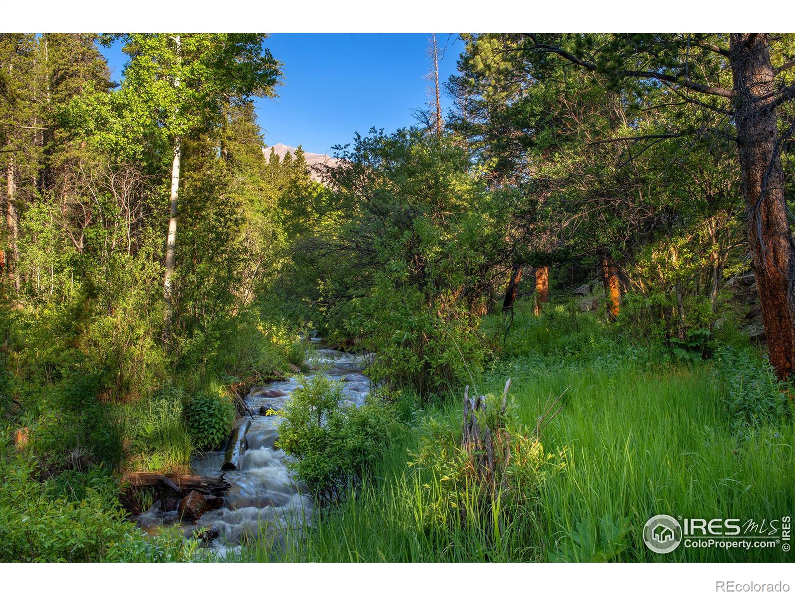 1217 Big Owl Road Allenspark CO 80510