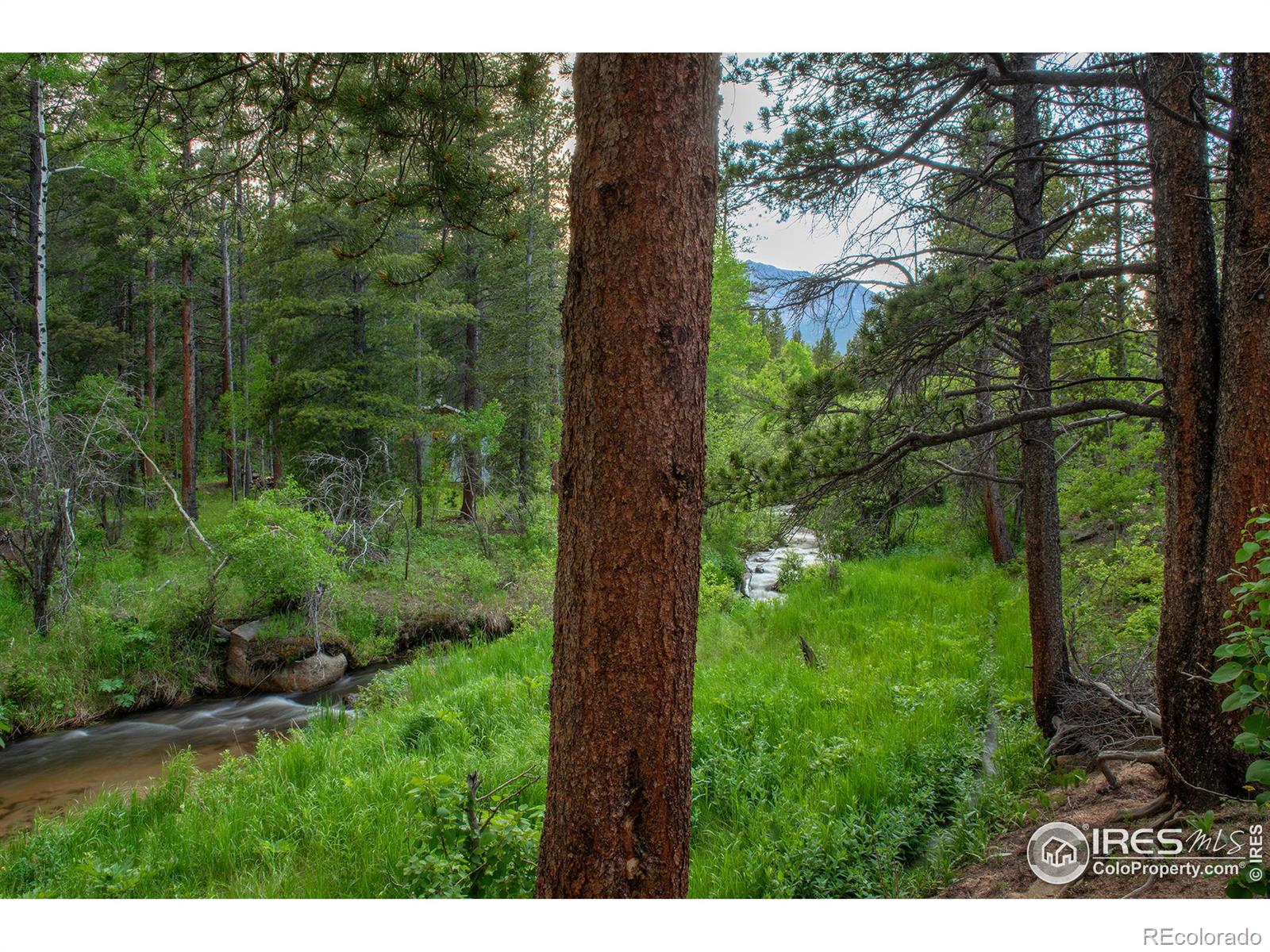 1217 Big Owl Road Allenspark CO 80510