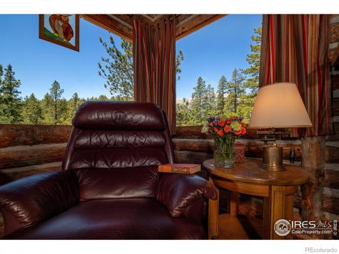 1217 Big Owl Road Allenspark CO 80510