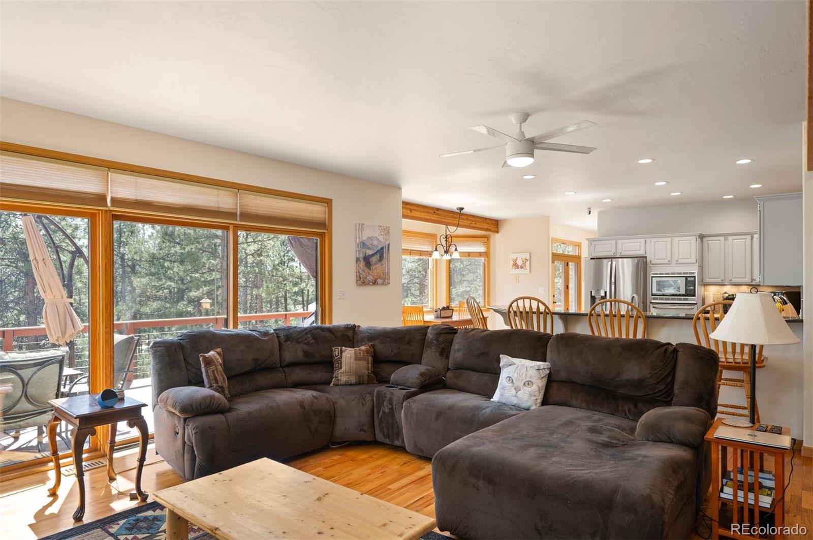 29517 Gleneden Lane Evergreen CO 80439