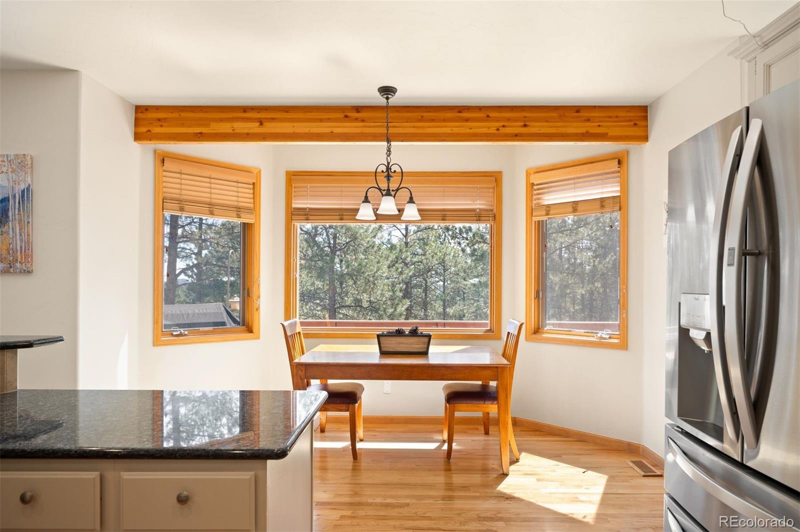 29517 Gleneden Lane Evergreen CO 80439