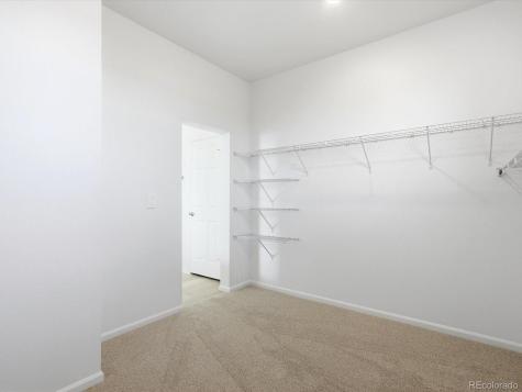1608 Rumley Creek Drive Windsor CO 80550