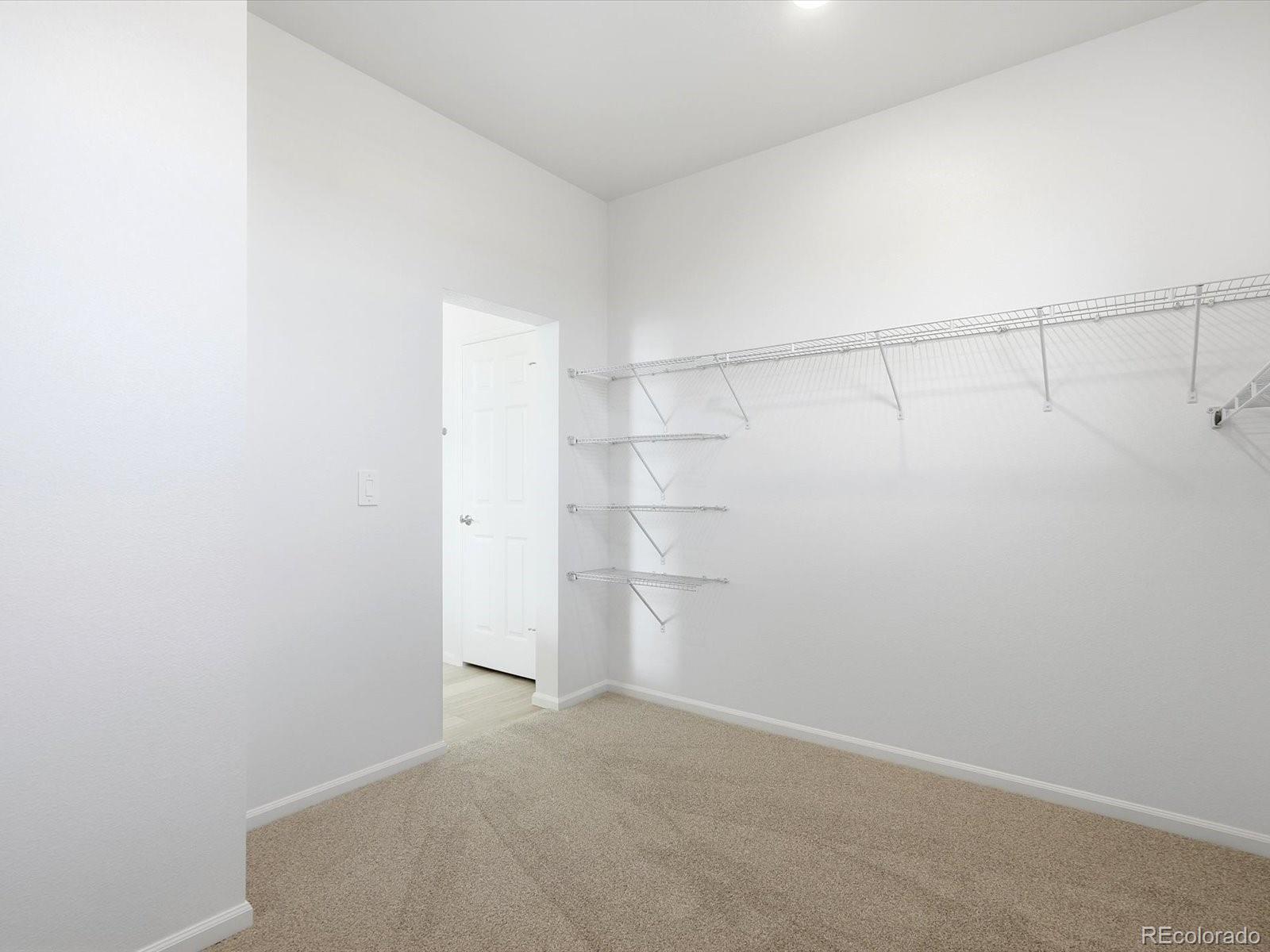 1608 Rumley Creek Drive Windsor CO 80550