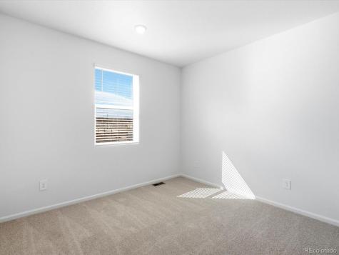 1608 Rumley Creek Drive Windsor CO 80550