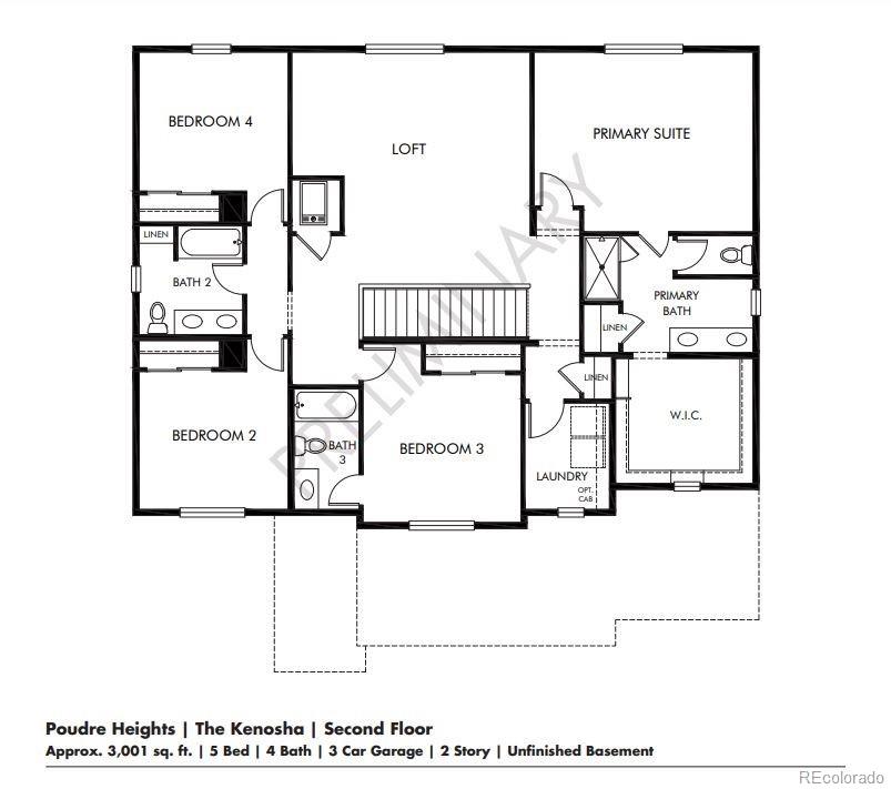 1608 Rumley Creek Drive Windsor CO 80550