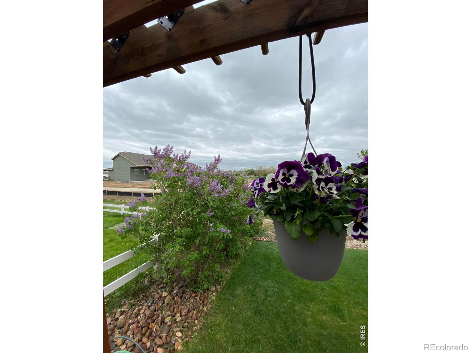 2585 Tungsten Court Loveland CO 80537