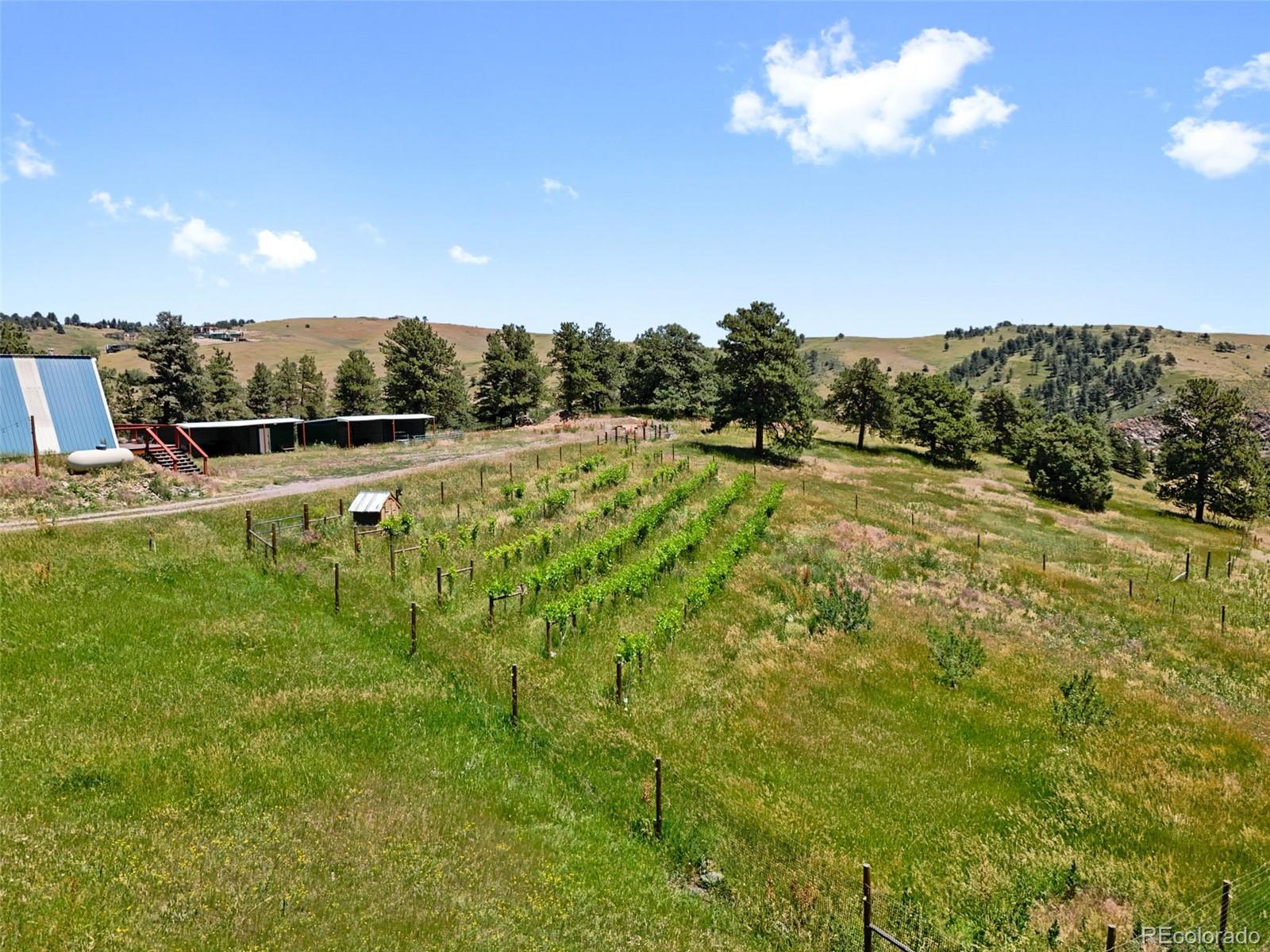 1044 S Grapevine Road Golden CO 80401