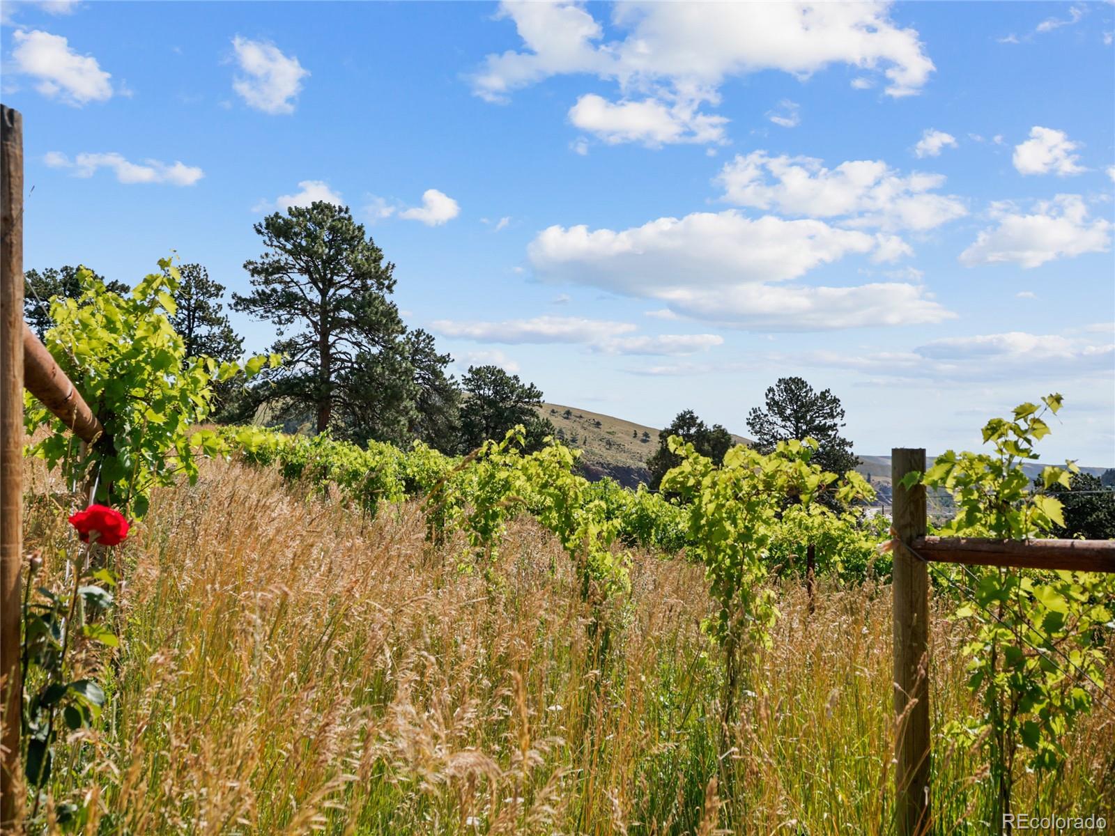 1044 S Grapevine Road Golden CO 80401