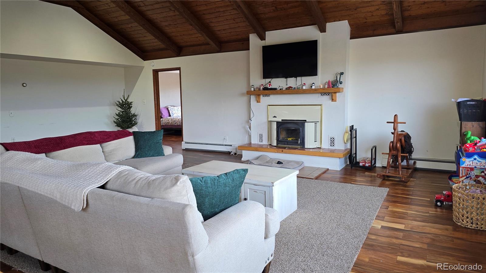 411 Gruenberg Road Fort Garland CO 81133