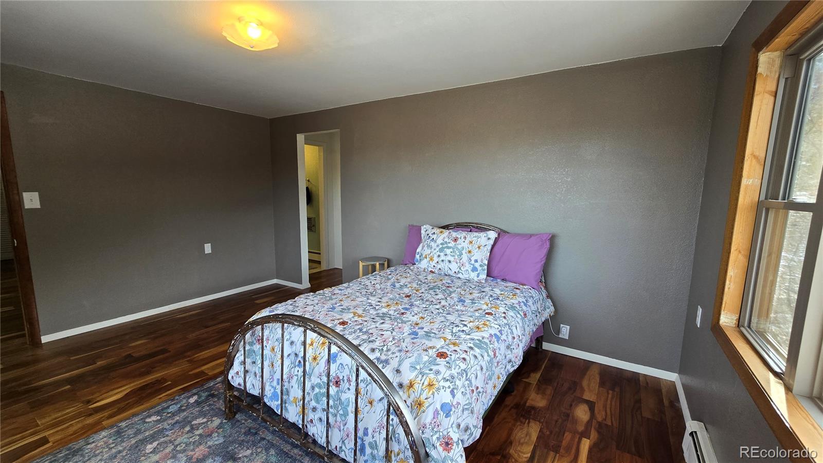 411 Gruenberg Road Fort Garland CO 81133