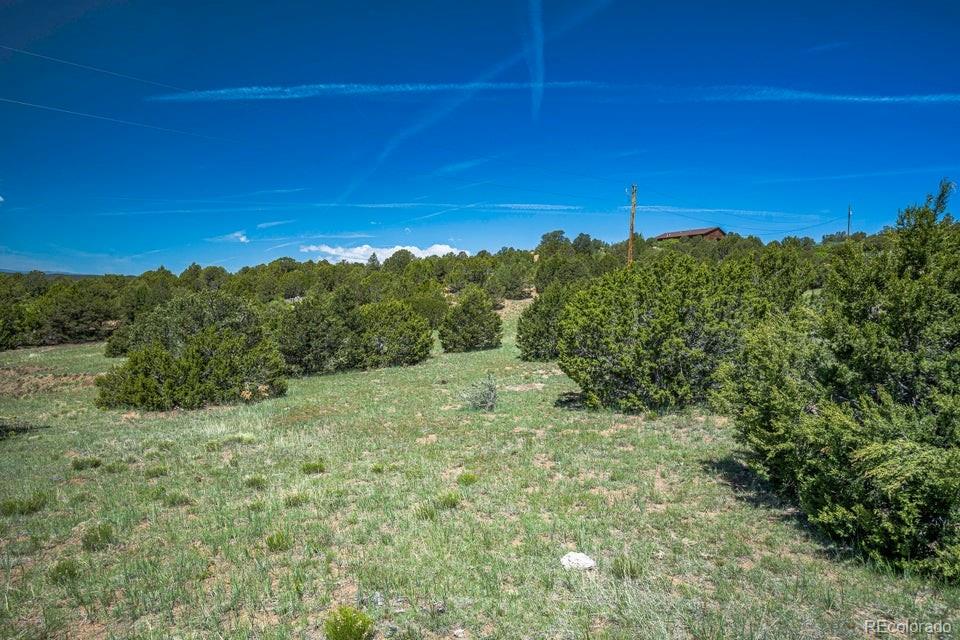 324 Chaps Court Walsenburg CO 81089