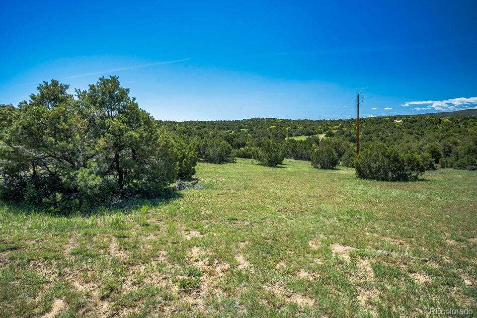 324 Chaps Court Walsenburg CO 81089