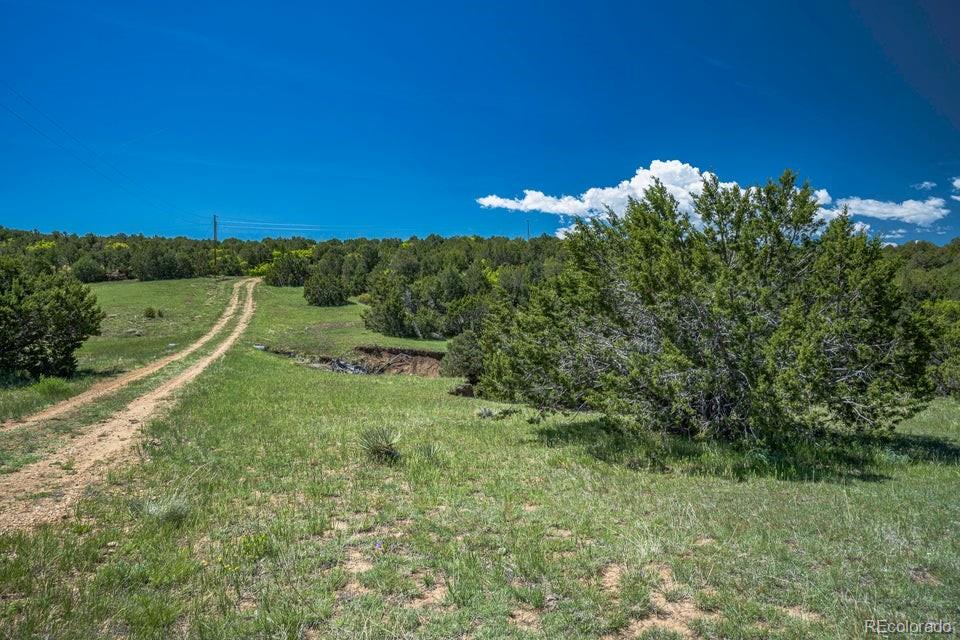 324 Chaps Court Walsenburg CO 81089