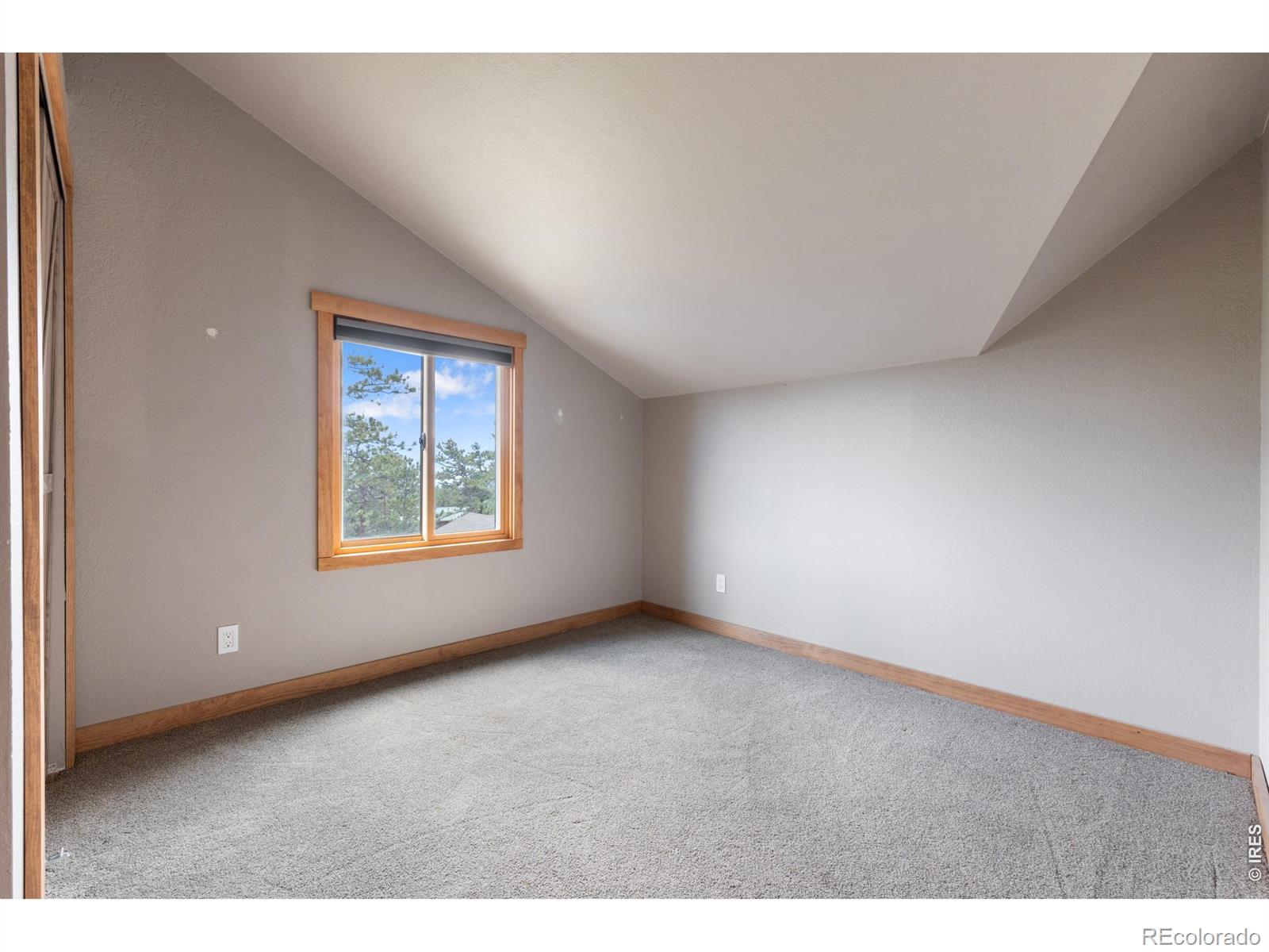 14534 S Wandcrest Drive Pine CO 80470