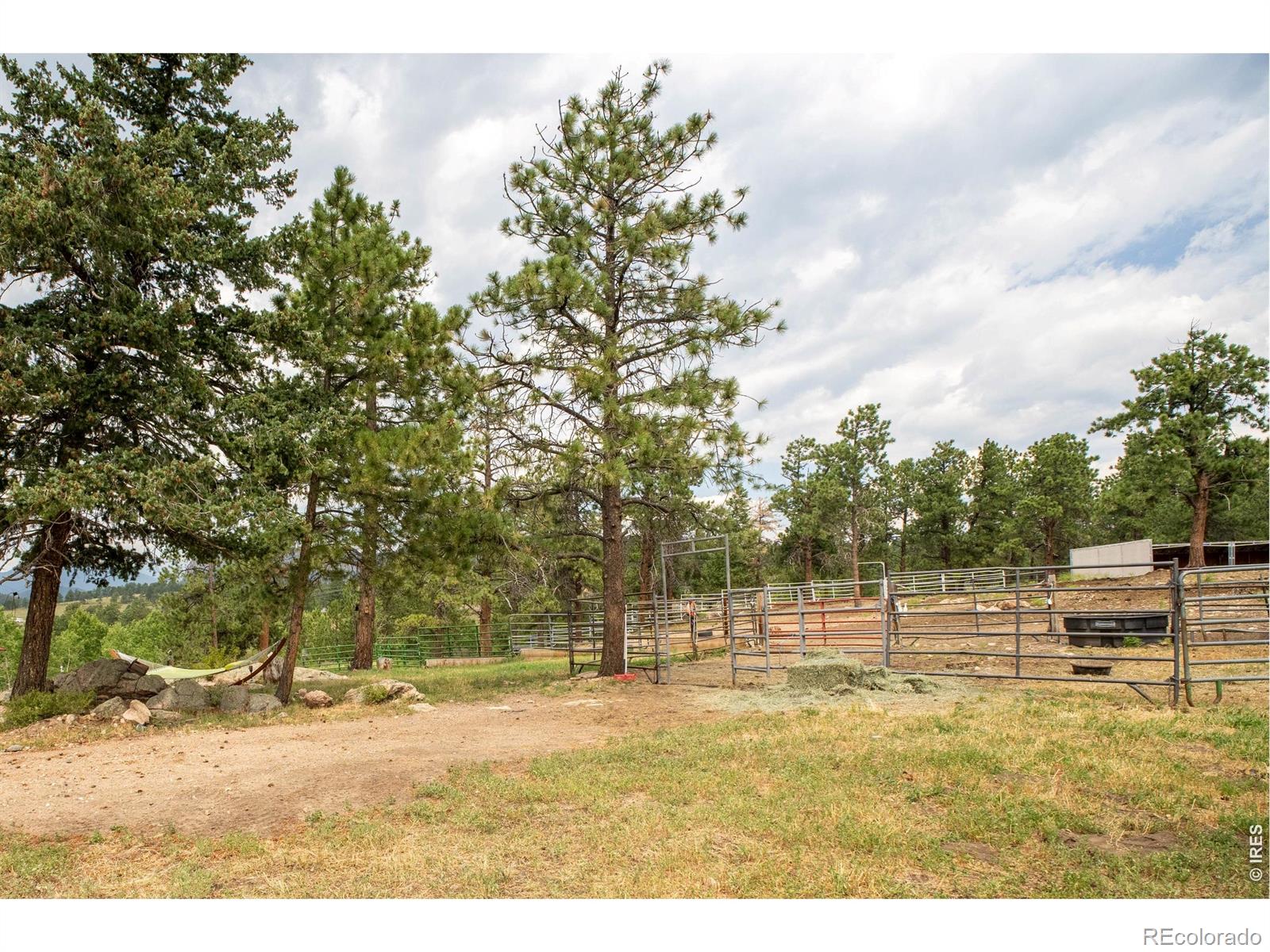 14534 S Wandcrest Drive Pine CO 80470