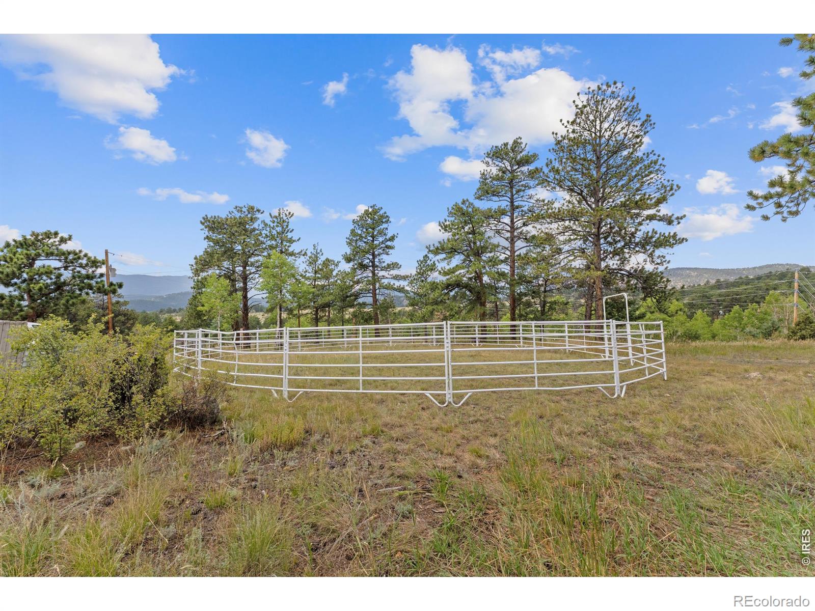 14534 S Wandcrest Drive Pine CO 80470