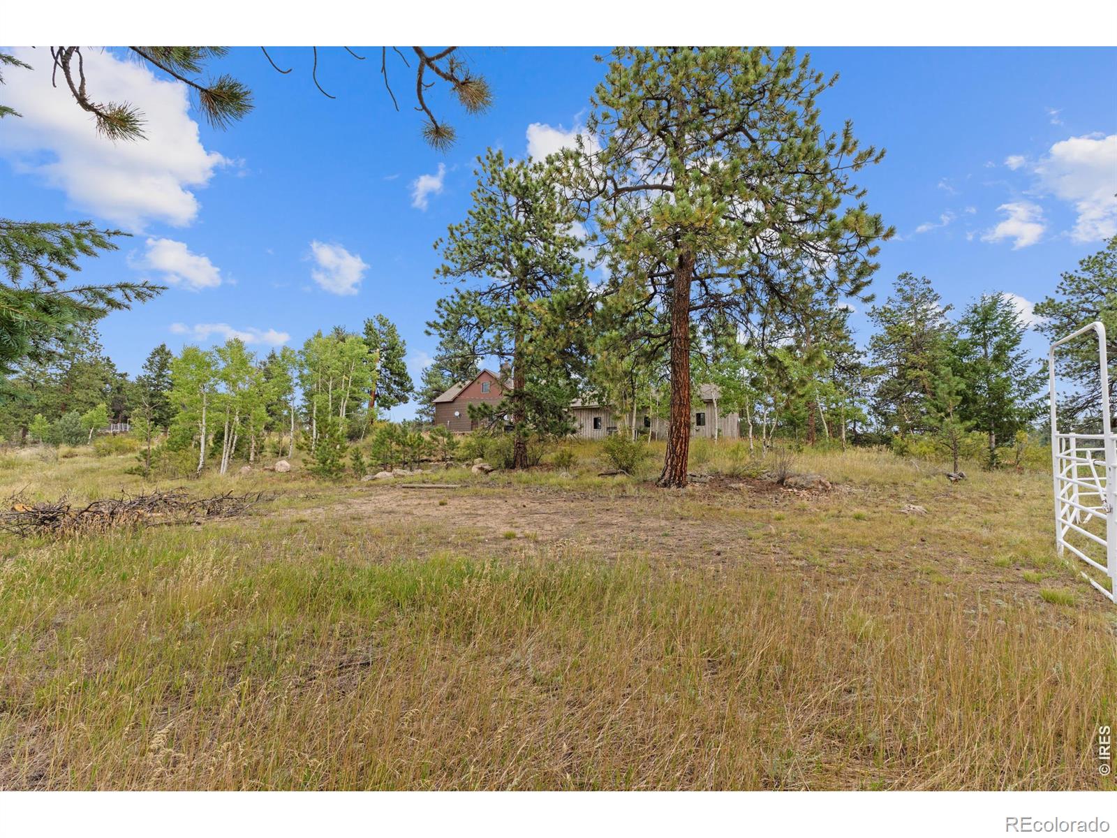 14534 S Wandcrest Drive Pine CO 80470