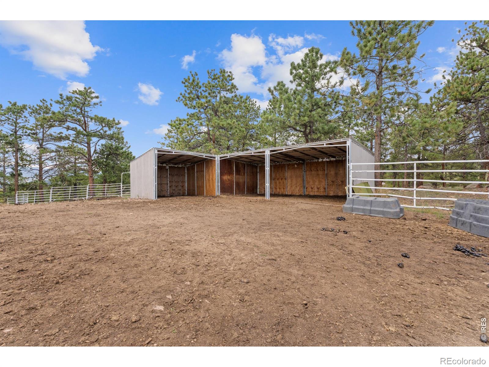 14534 S Wandcrest Drive Pine CO 80470