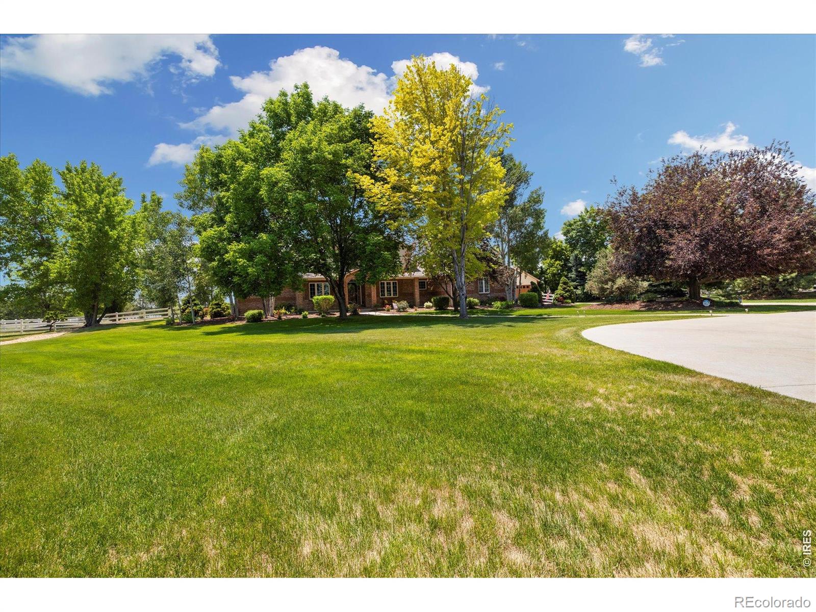3806 Singletree Court Mead CO 80542